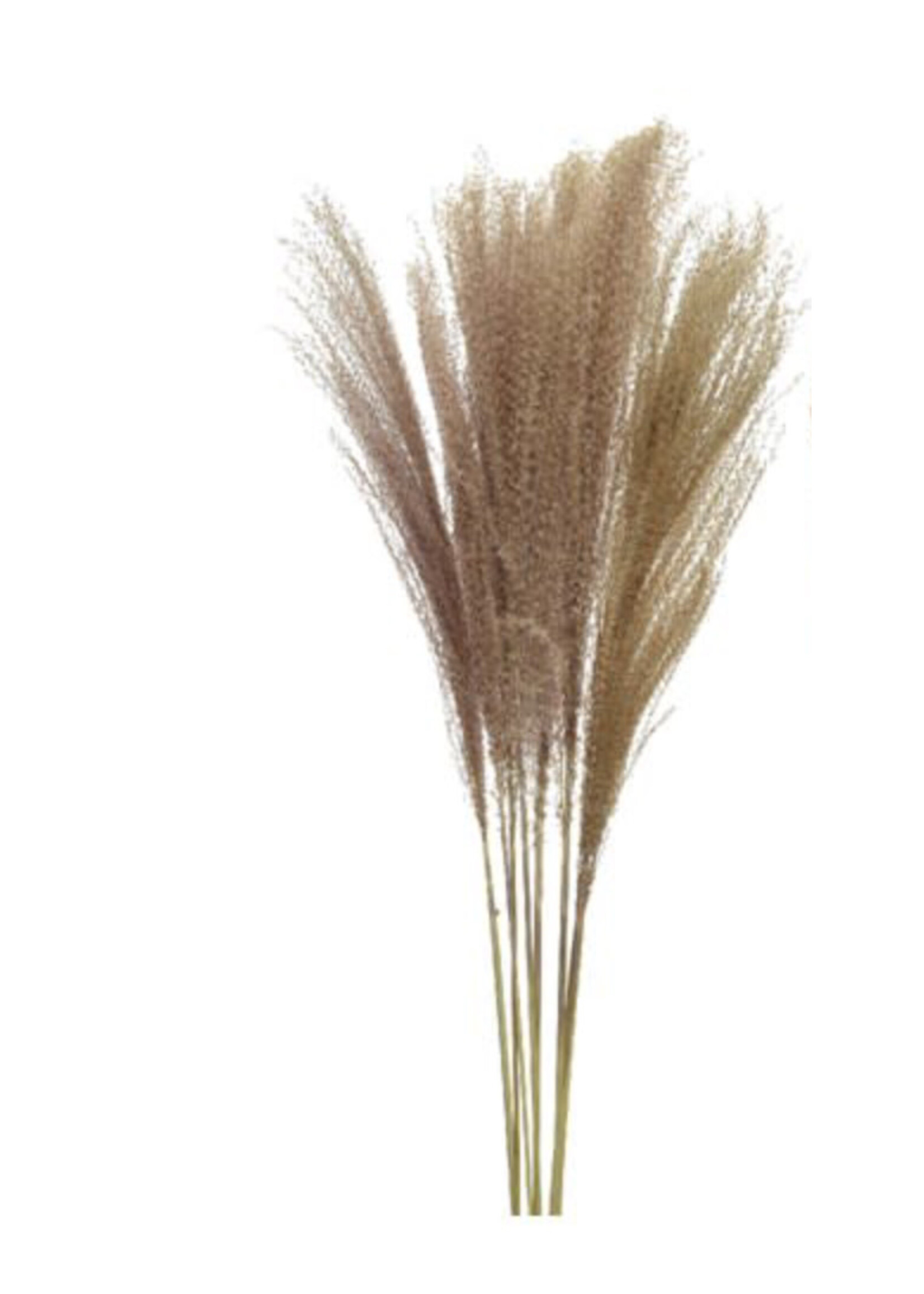 Decoris Natural Grass set