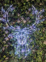 Premier Reindeer Head Light up  LED 70cm acrylic - warm and ice white