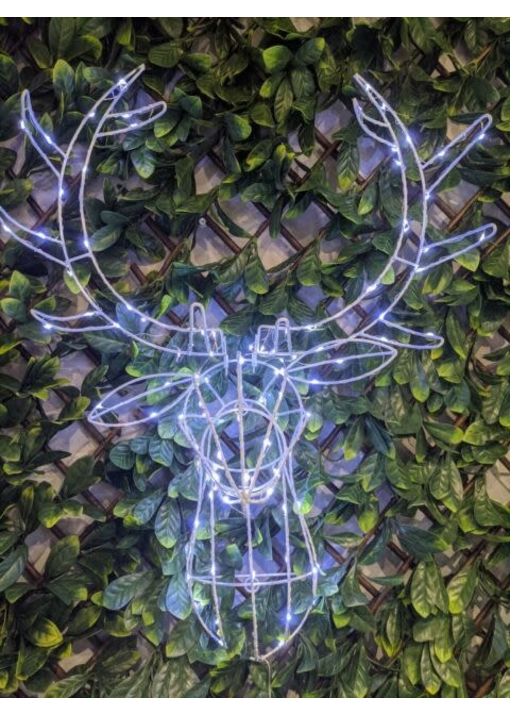 Premier Reindeer Head Light up  LED 70cm acrylic - warm and ice white