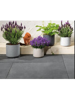 Decoris Small Speckle Plant Pot (4 Assorted Colours - Price is for One)