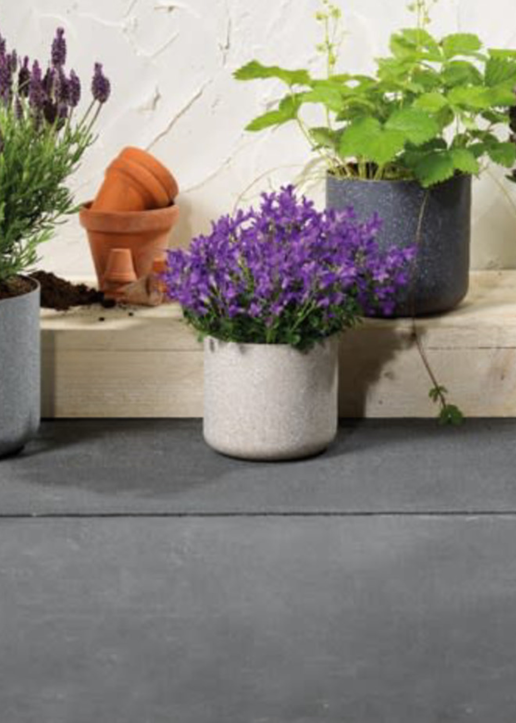 Decoris Small Speckle Plant Pot (4 Assorted Colours - Price is for One)