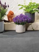 Decoris Medium Speckle Plant Pot 4 ass col