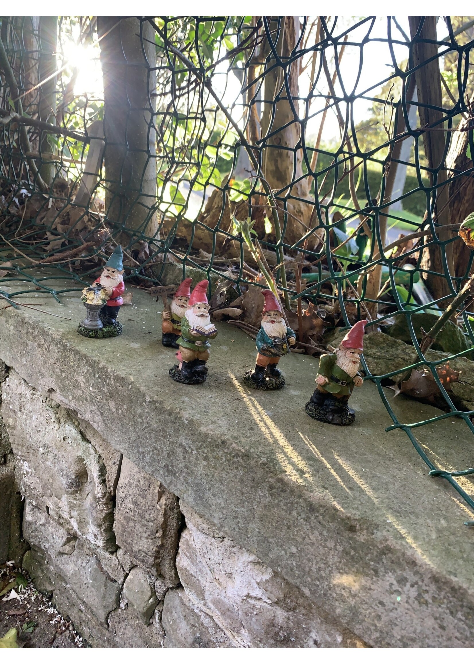 Kaemingk Fairy Garden Mini Gnome - assorted