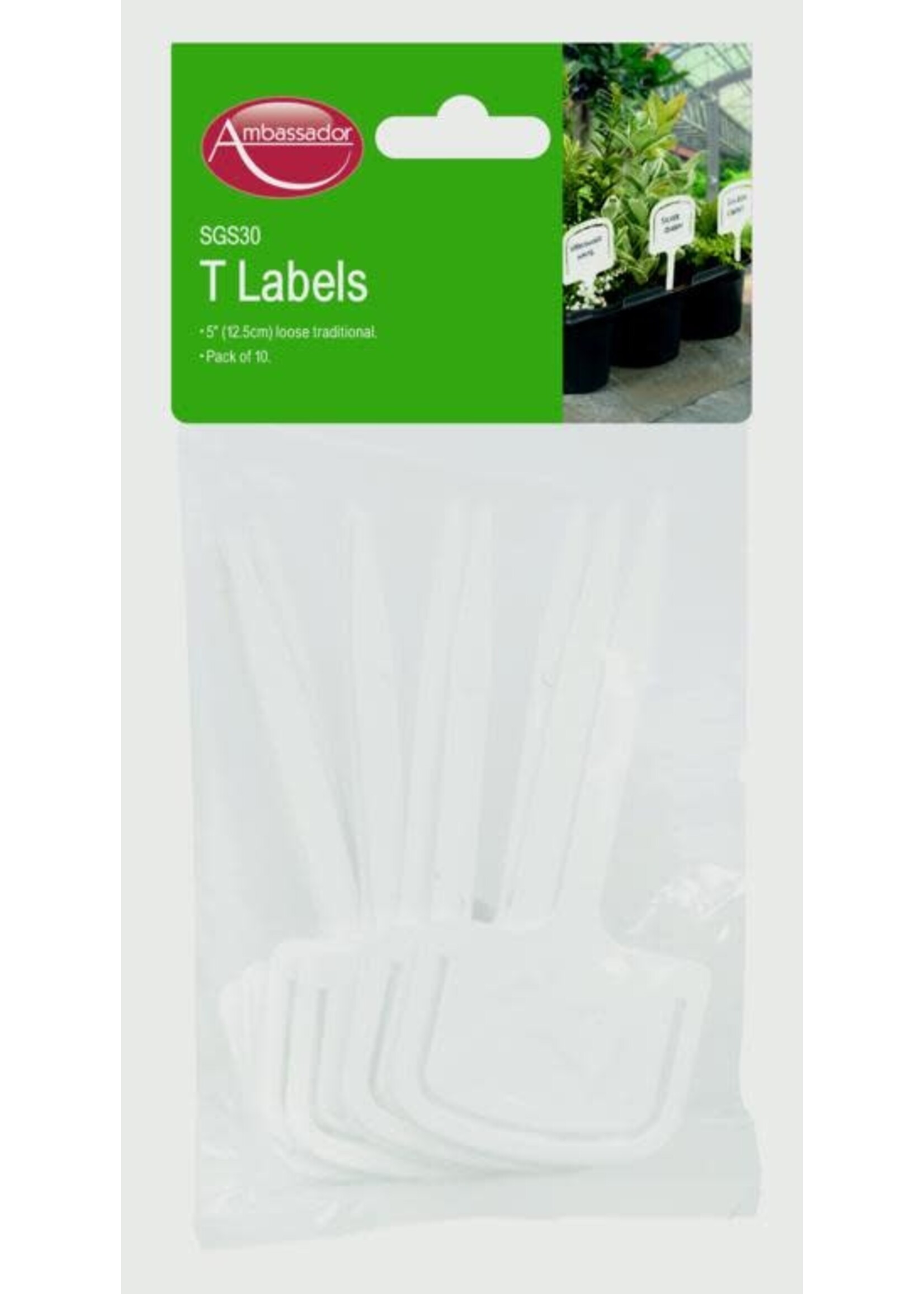 Ambassador Ambassador T Labels 5" Pack 10