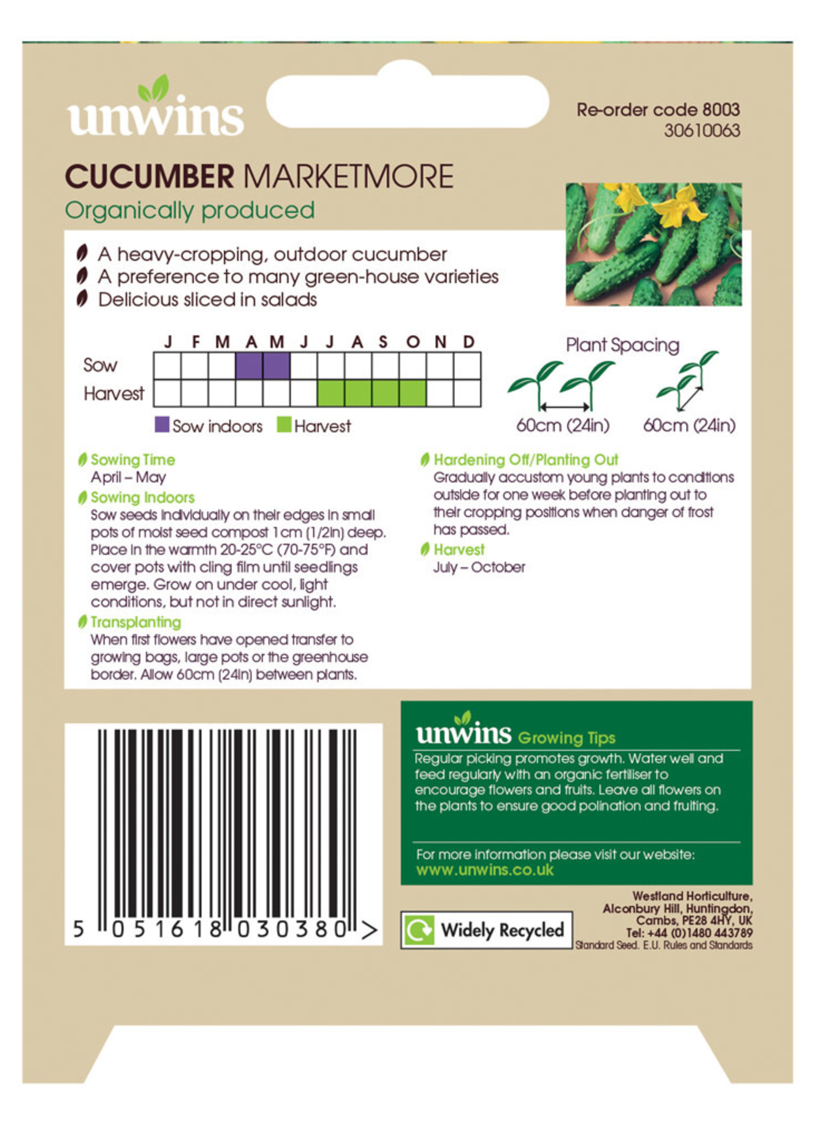 Unwins Cucumber - Marketmore (Organic)