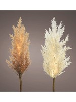 Decoris Pampas Grass With Micro LEDs