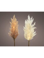 Decoris Pampas Grass With Micro LEDs
