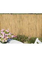 SupaGarden Ambassador Reed Screening 4m x 2m