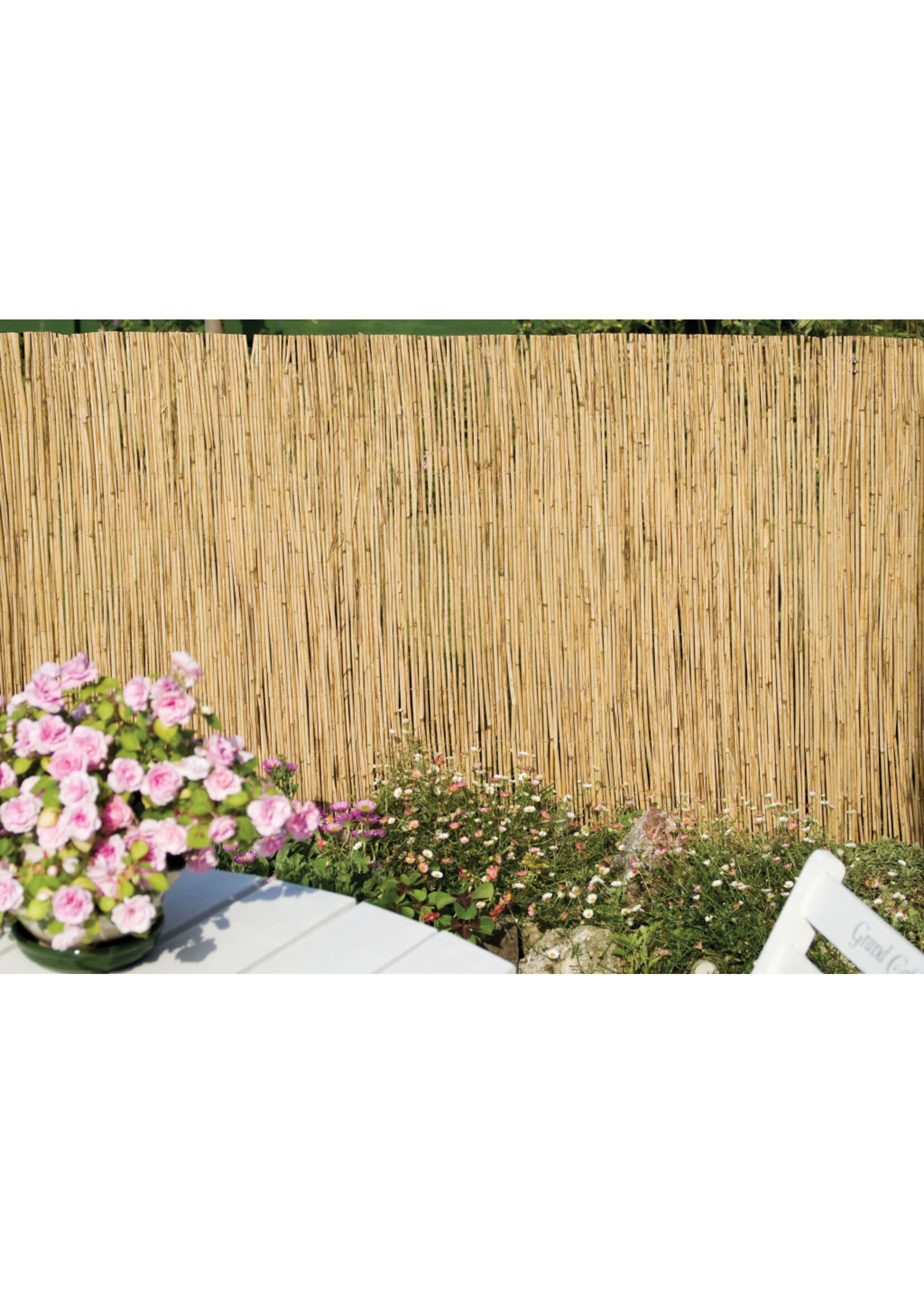 SupaGarden Ambassador Reed Screening 4m x 2m