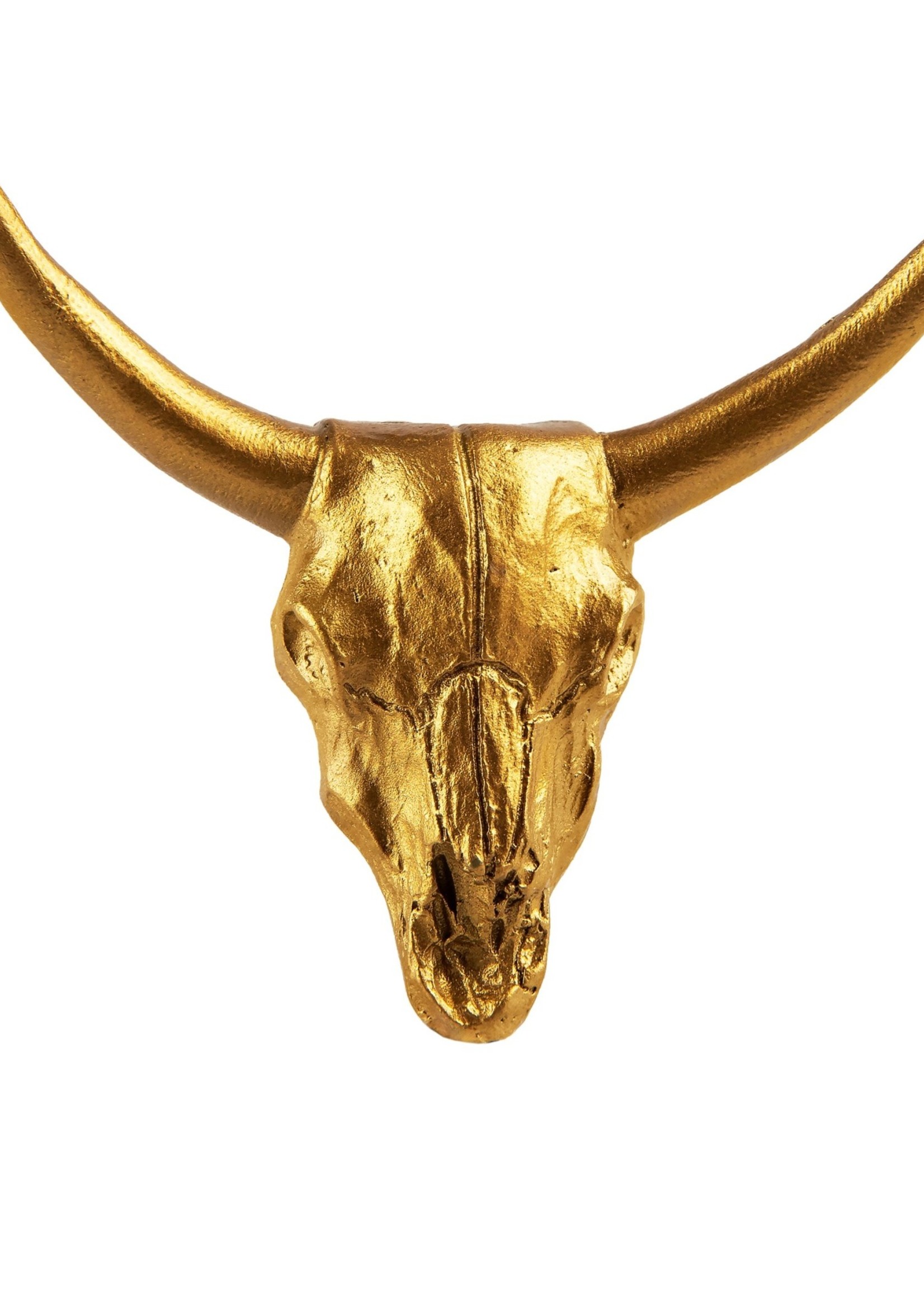 Sass & Belle Buffalo Desert Skull Brass Effect Drawer Knob