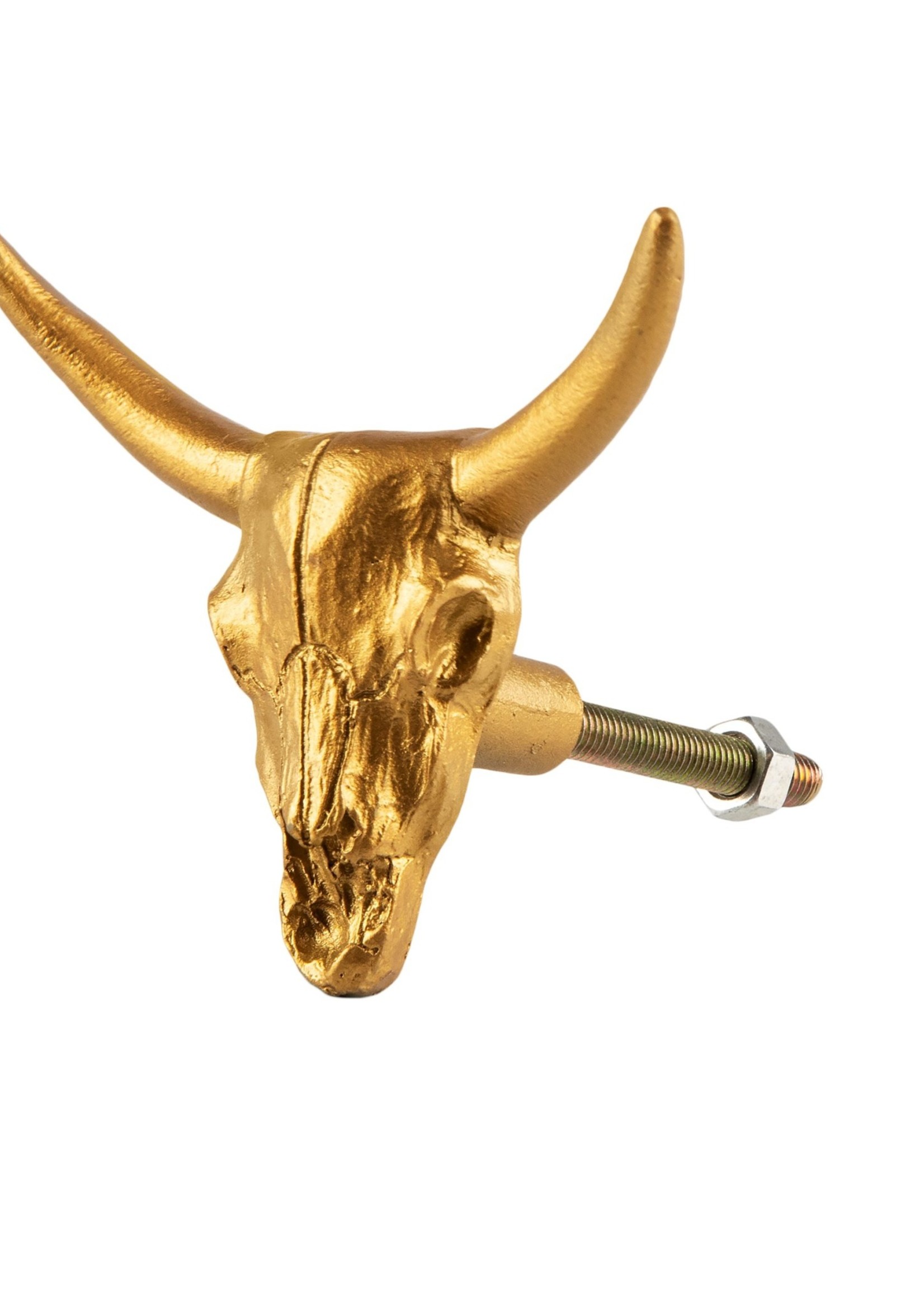 Sass & Belle Buffalo Desert Skull Brass Effect Drawer Knob