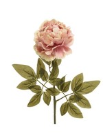 Decoris Decoris Blush Pink Peonie 72cm