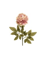 Decoris Decoris Blush Pink Peonie 72cm