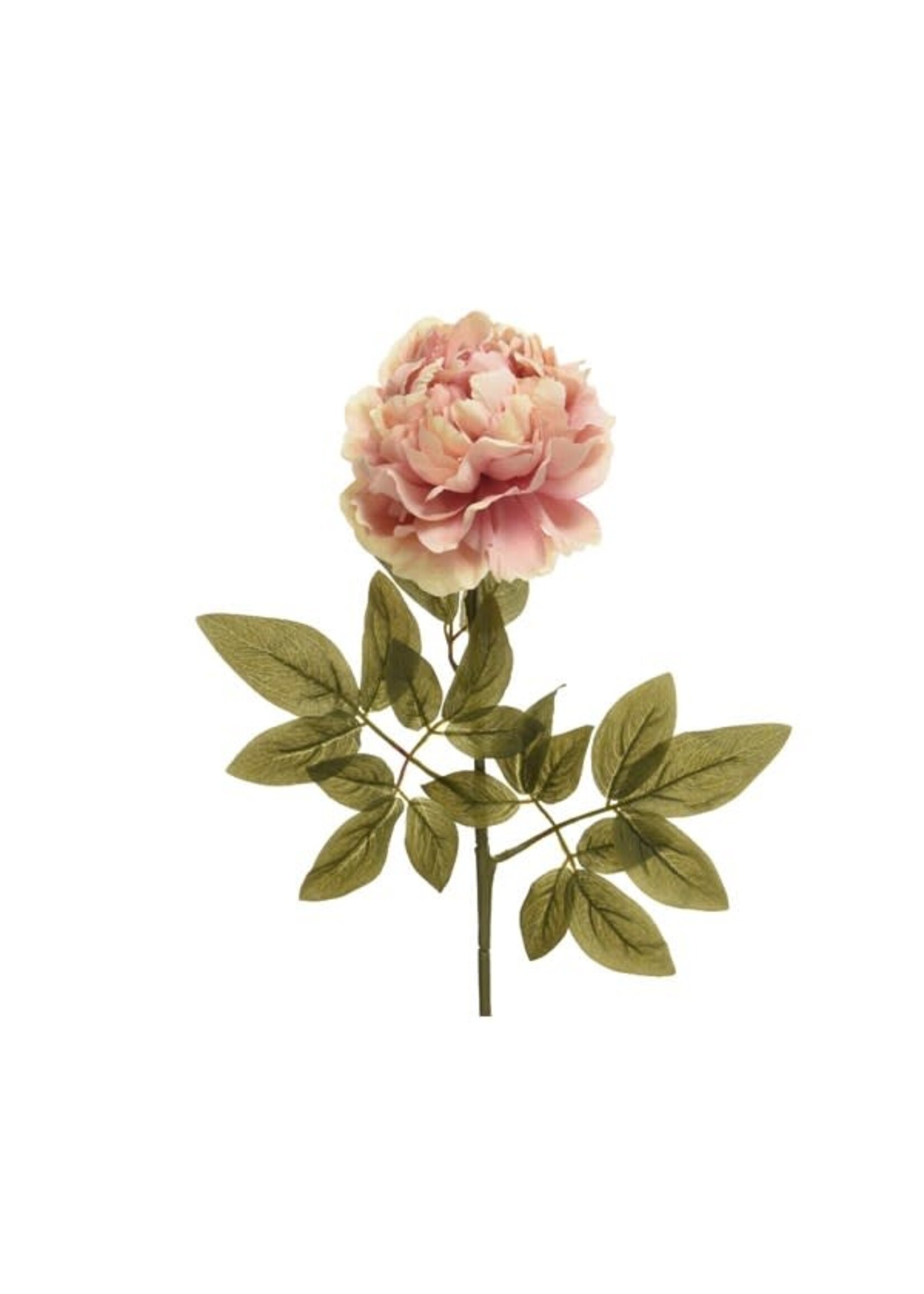 Decoris Decoris Blush Pink Peonie 72cm