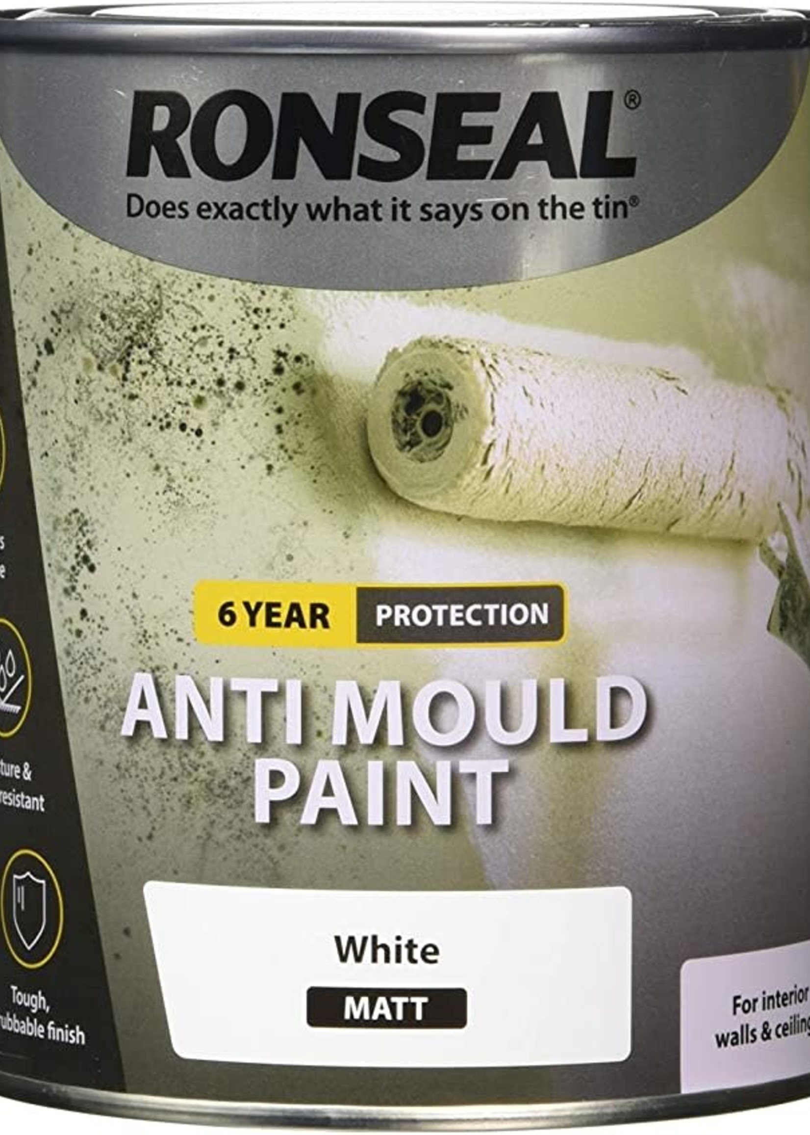 Ronseal Ronseal Anti Mould Paint Matt White 750ml