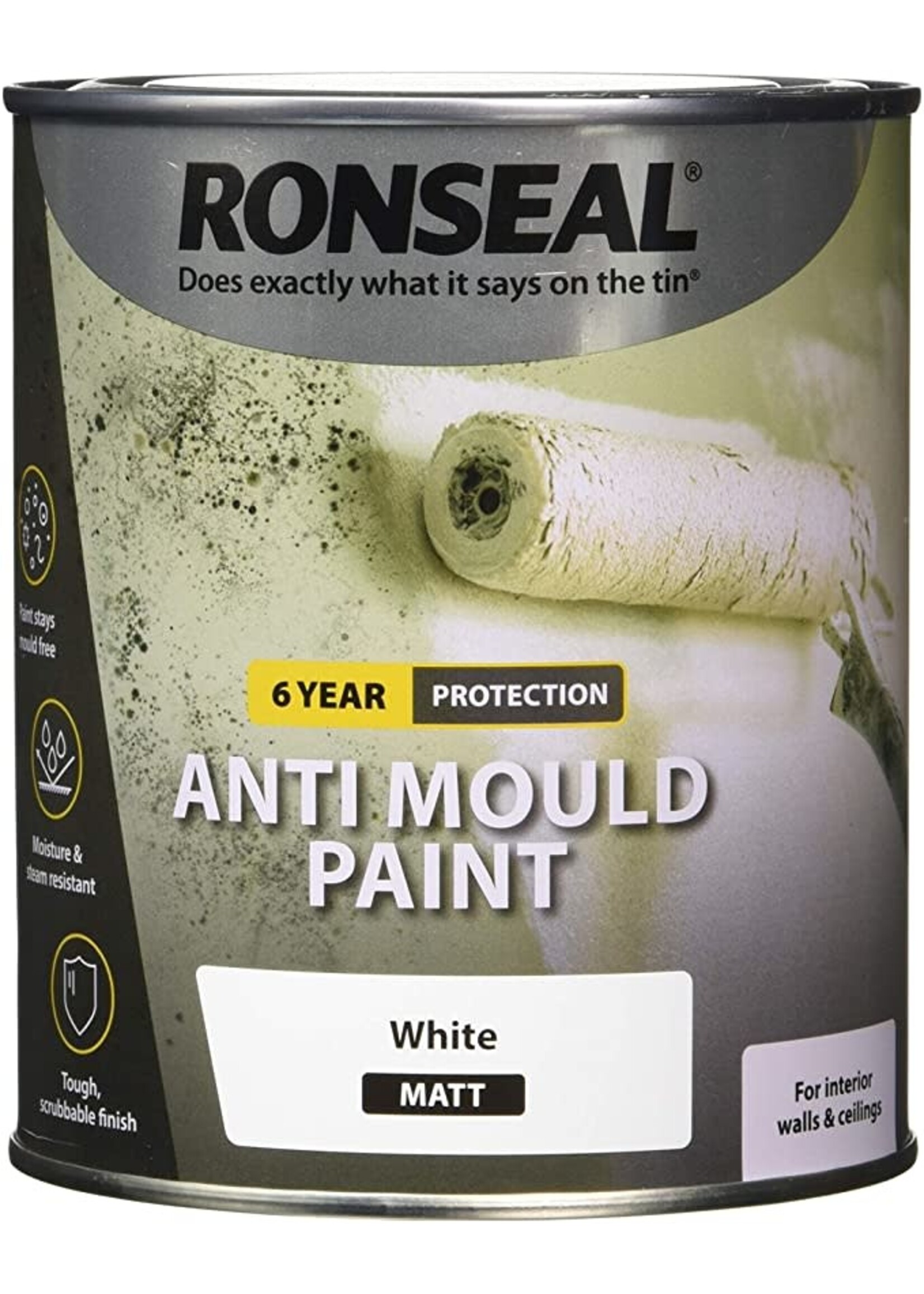 Ronseal Ronseal Anti Mould Paint Matt White 750ml