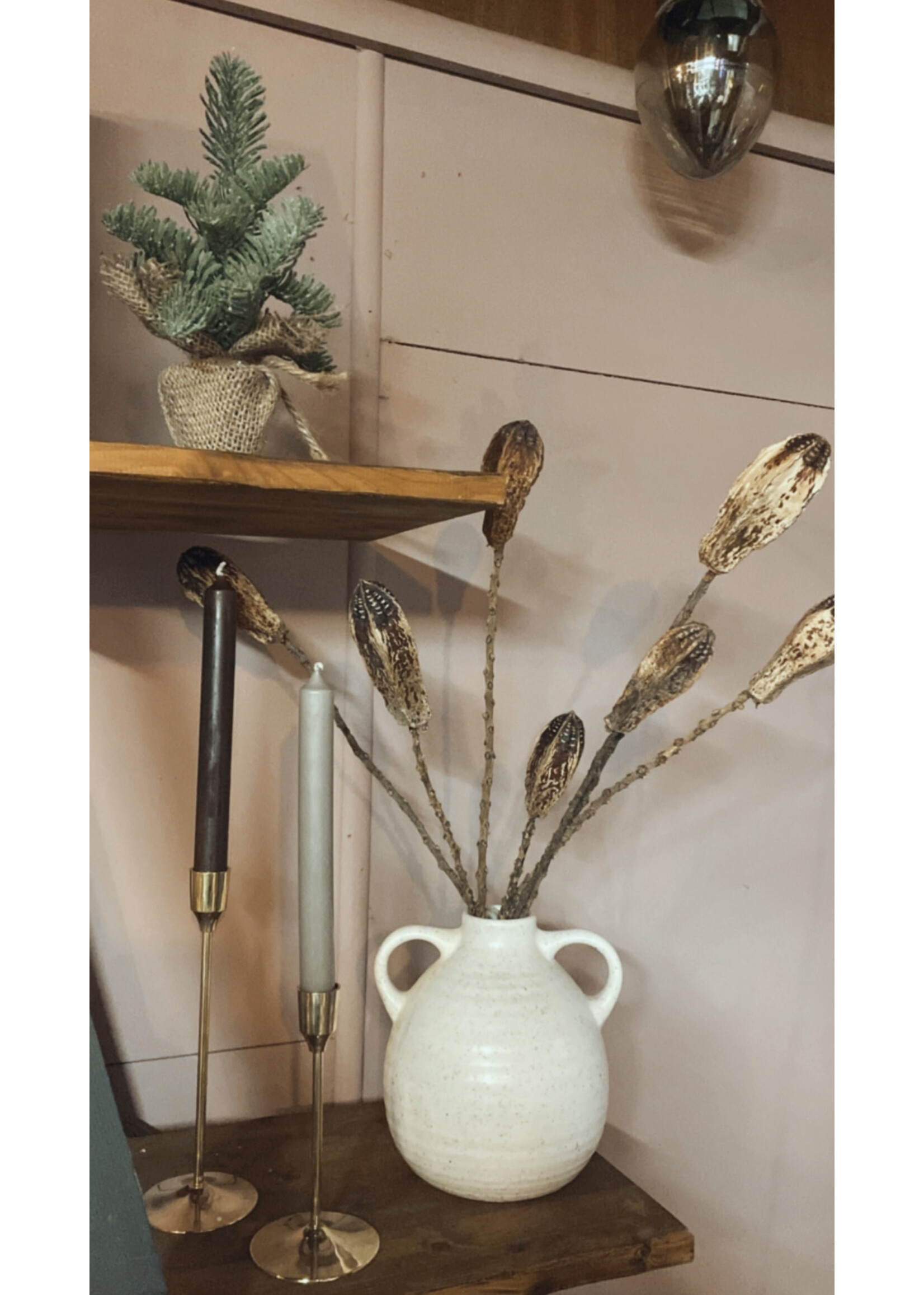 Decoris Bundle Dried Flowers