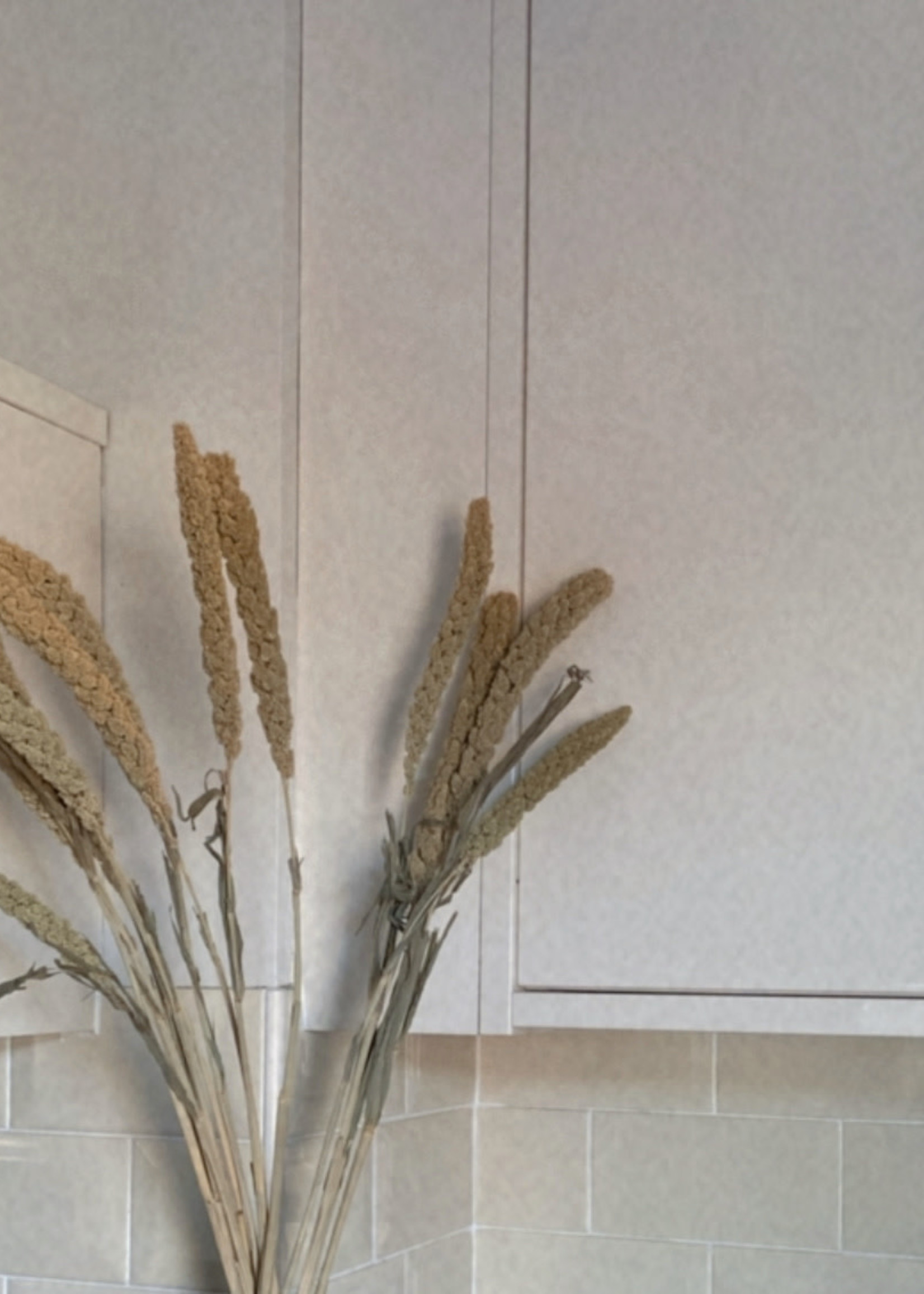 Decoris Dried Flower Bundle Setaria 80cm