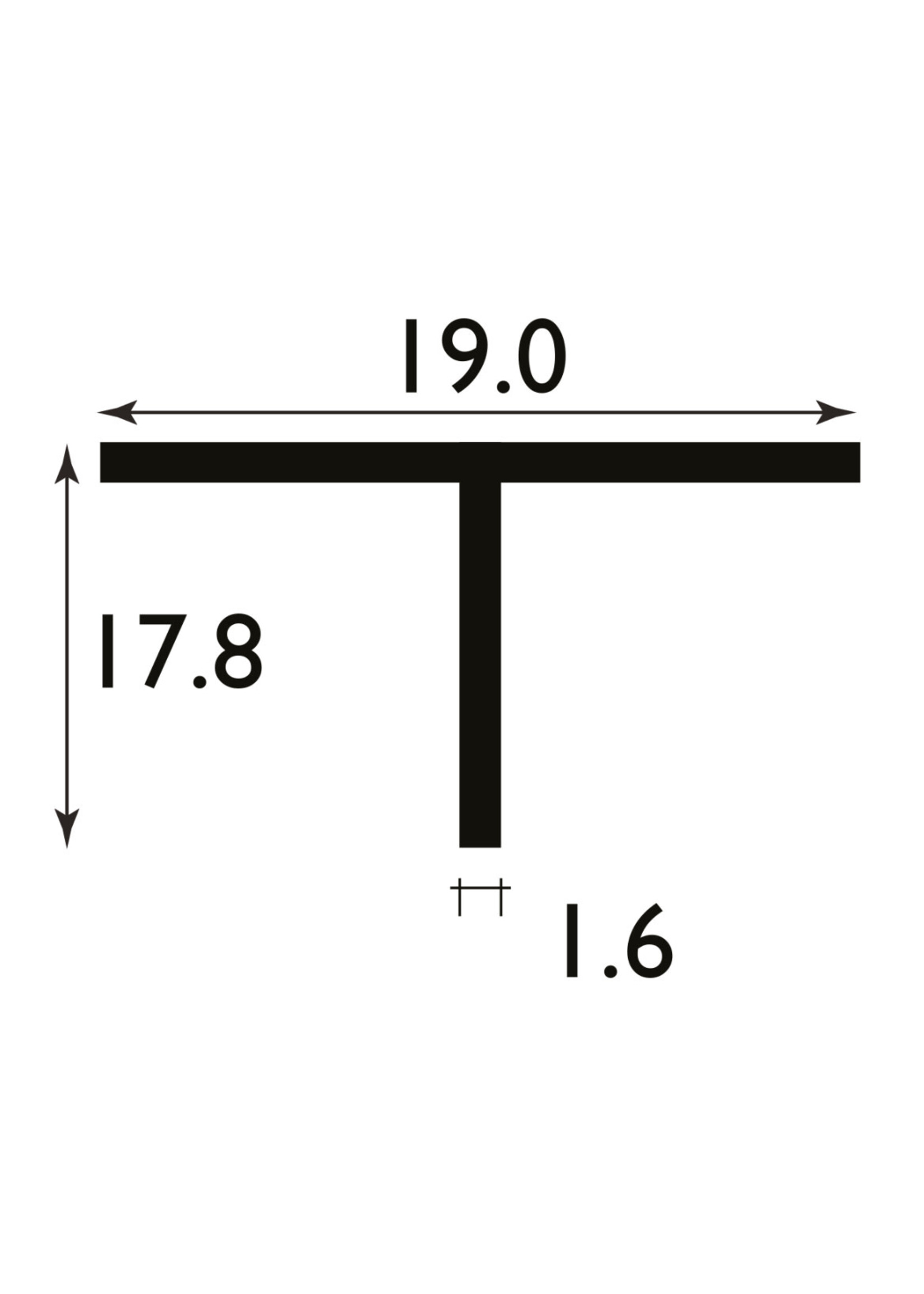 Easyfix Plastic T Section White (W)19mm x (L)2.44m