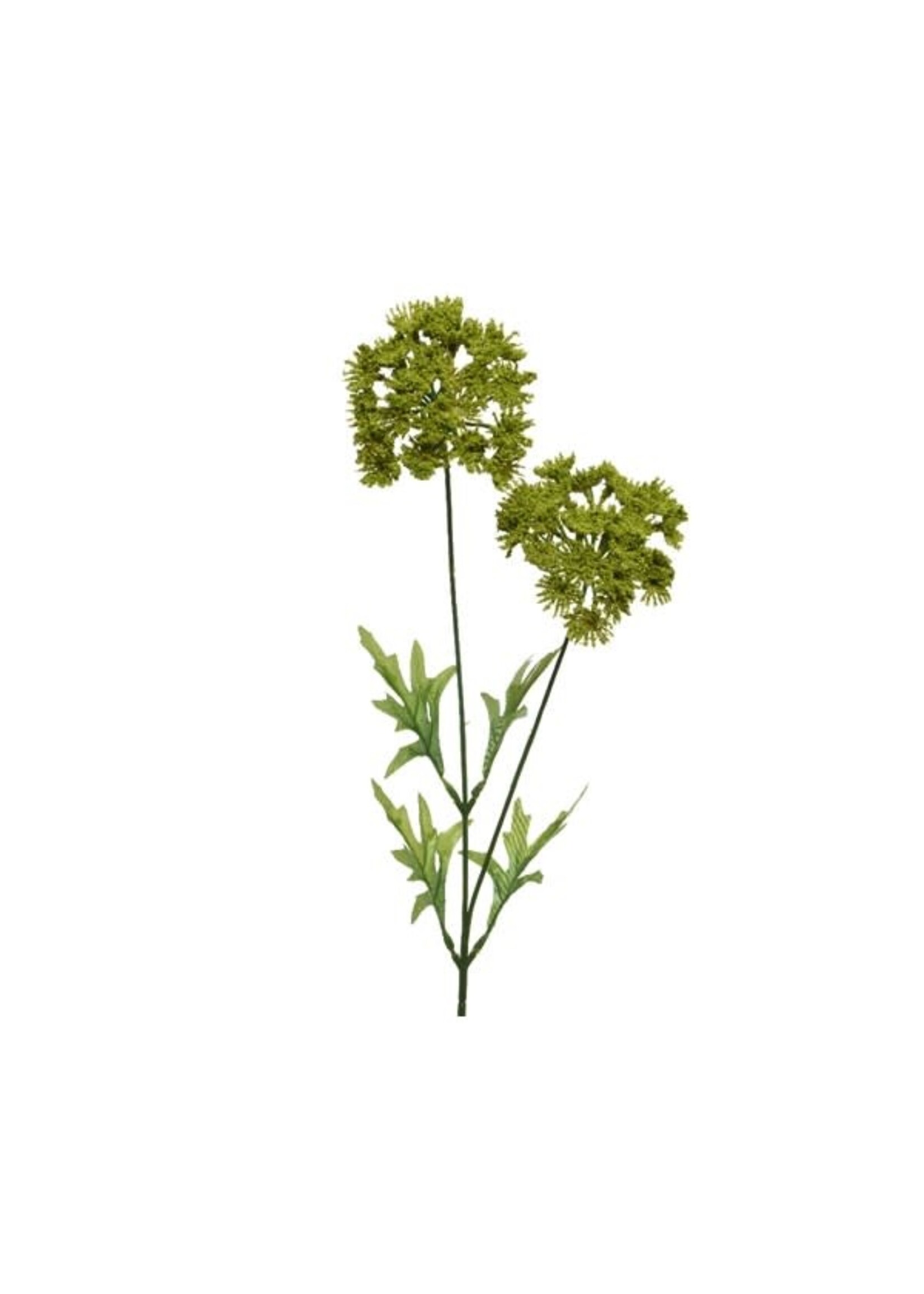 Everlands Queenanne plastic L8.00-W15.00-H60.00cm