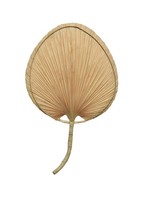 Decoris Wall Palm Leaf Fan 41x68cm