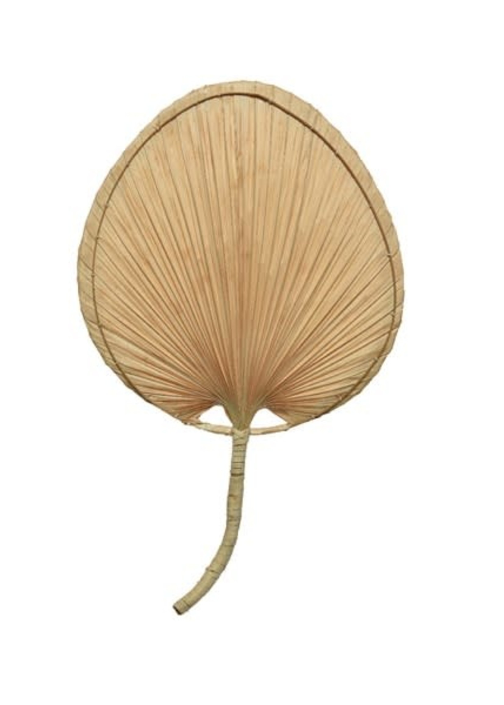 Decoris Wall Palm Leaf 41x68cm