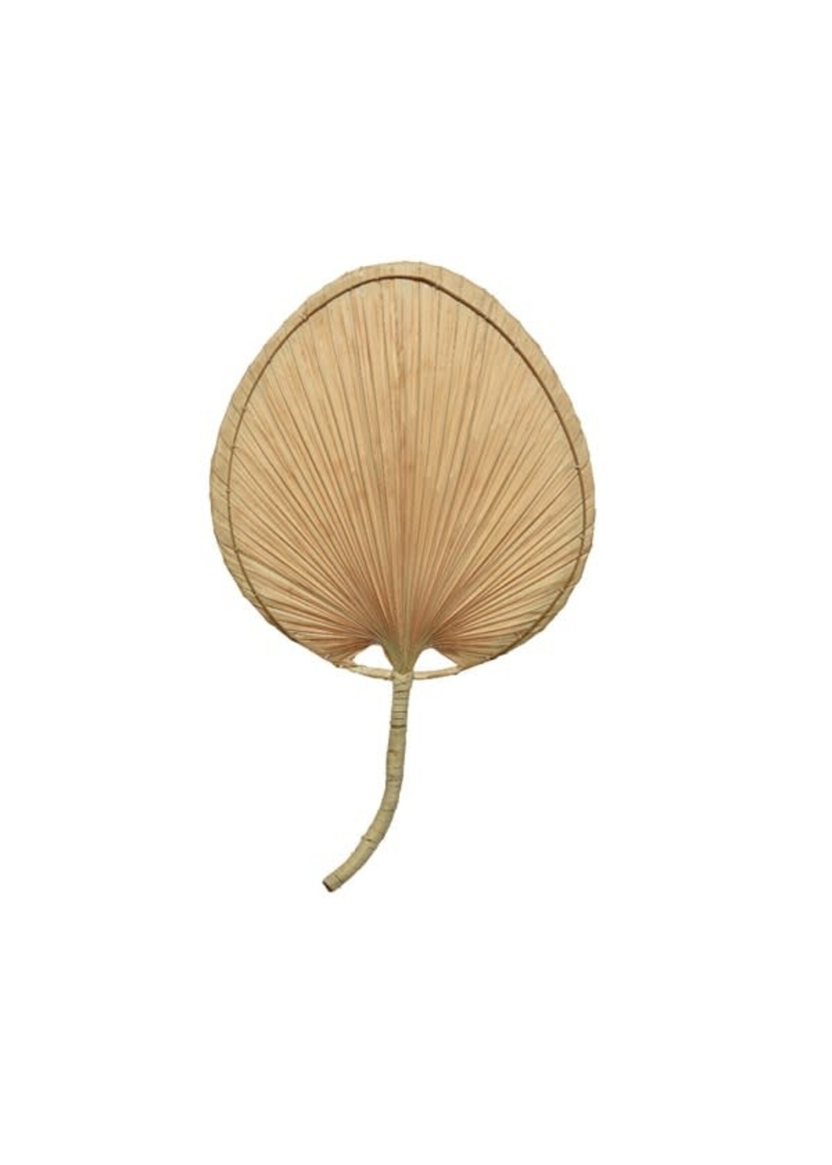 Decoris Wall Palm Leaf Fan 41x68cm