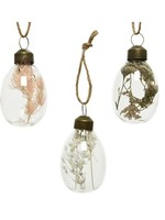 Decoris Egg Shaped Baubles Filled With Dried Flowers set of 6