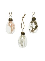 Decoris Egg Shaped Baubles Filled With Dried Flowers set of 6