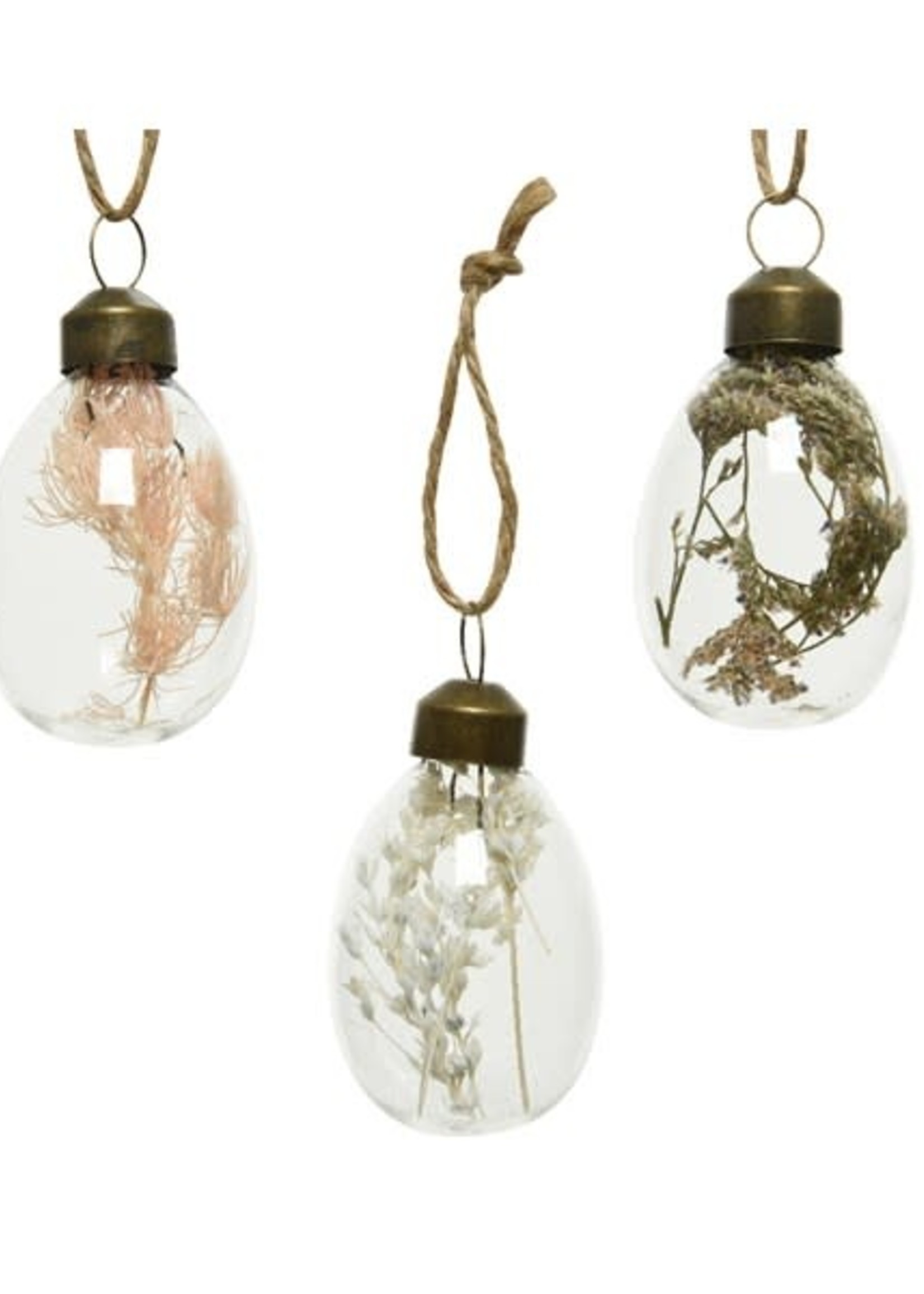 Decoris Egg Shaped Baubles Filled With Dried Flowers set of 6