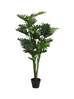 Everlands Philodendron in a Pot Polyester L96.00-W96.00-H135.00cm