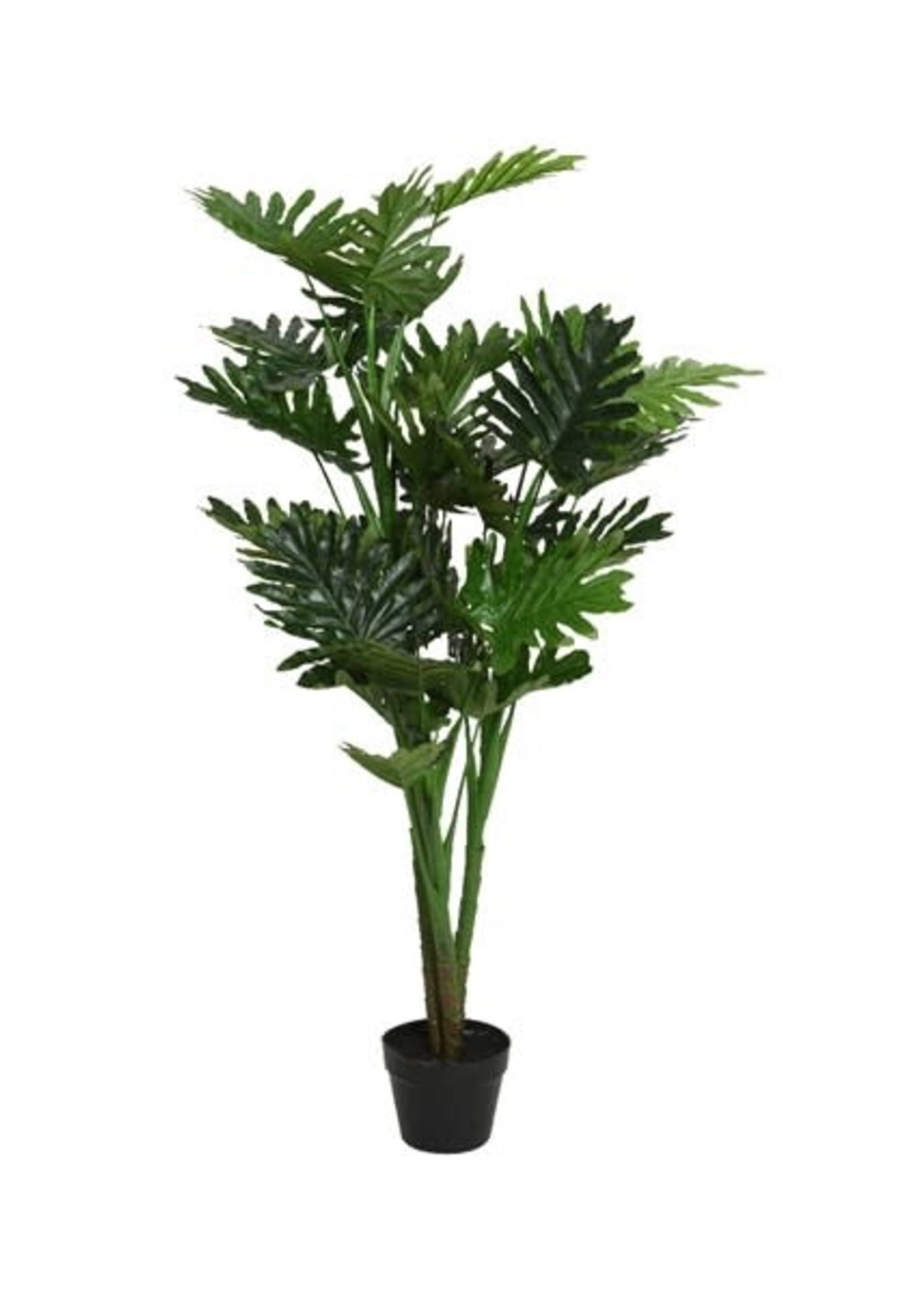 Everlands Philodendron in a Pot Polyester L96.00-W96.00-H135.00cm