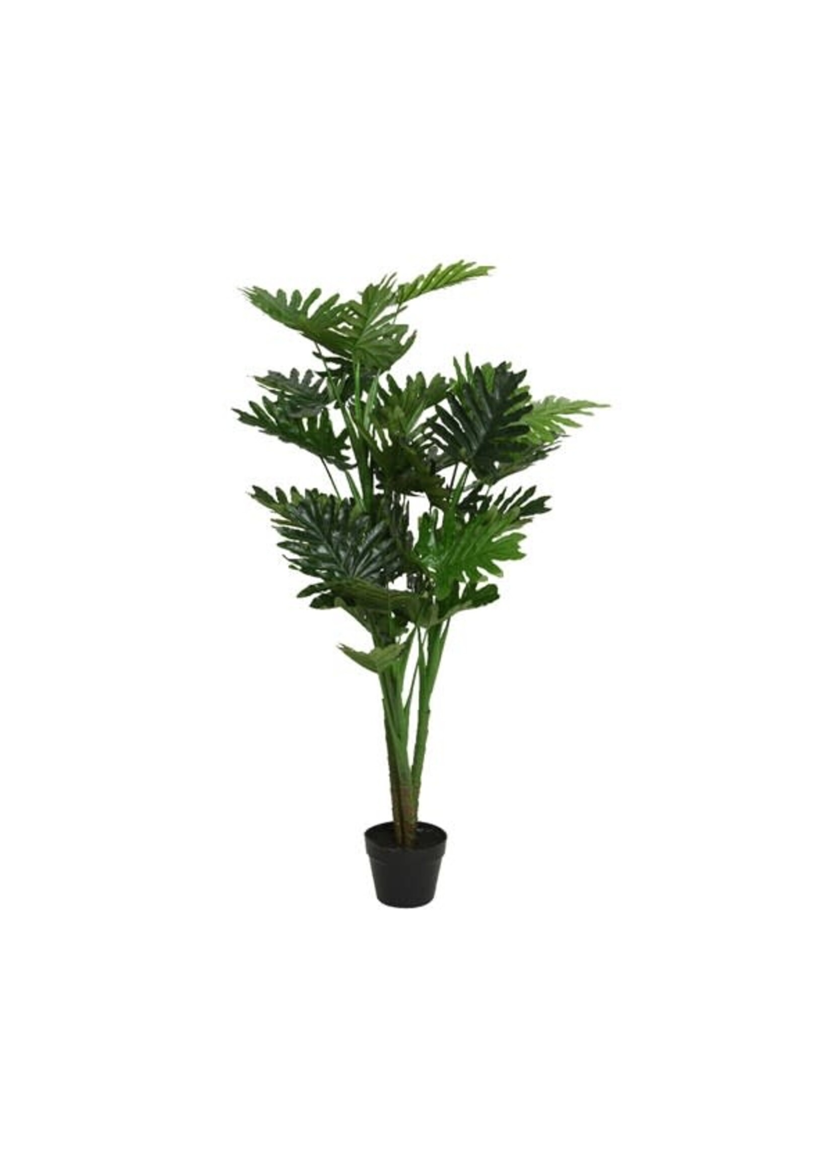 Everlands Philodendron in a Pot Polyester L96.00-W96.00-H135.00cm
