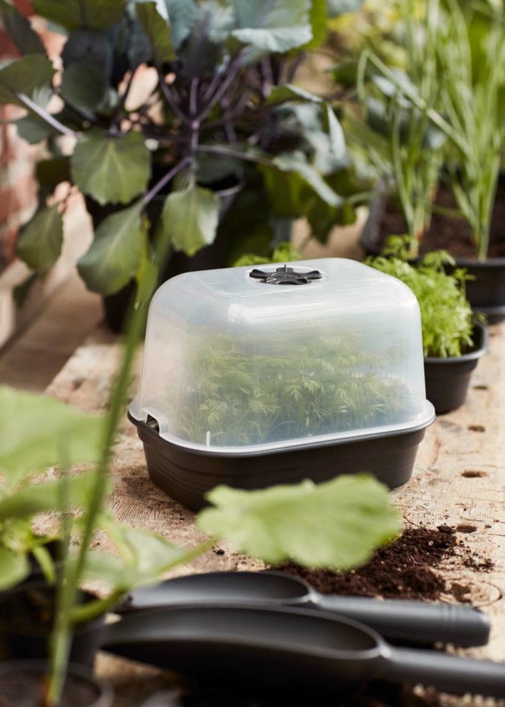 Elho Grow House Lid Transparent