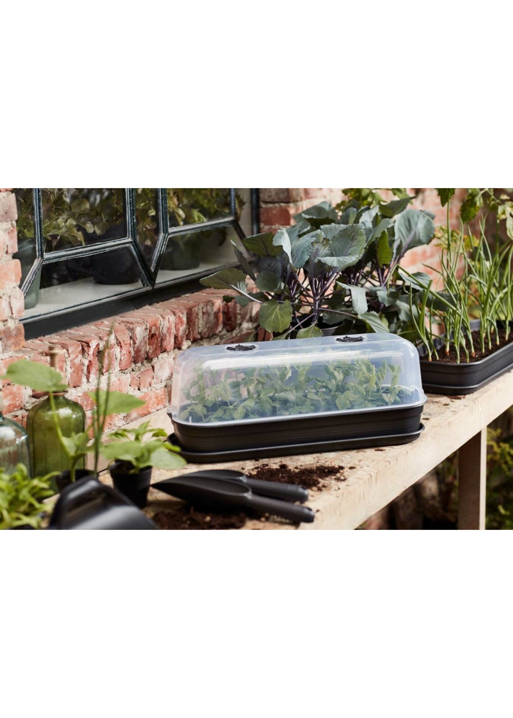 Elho Green Basics Grow Tray