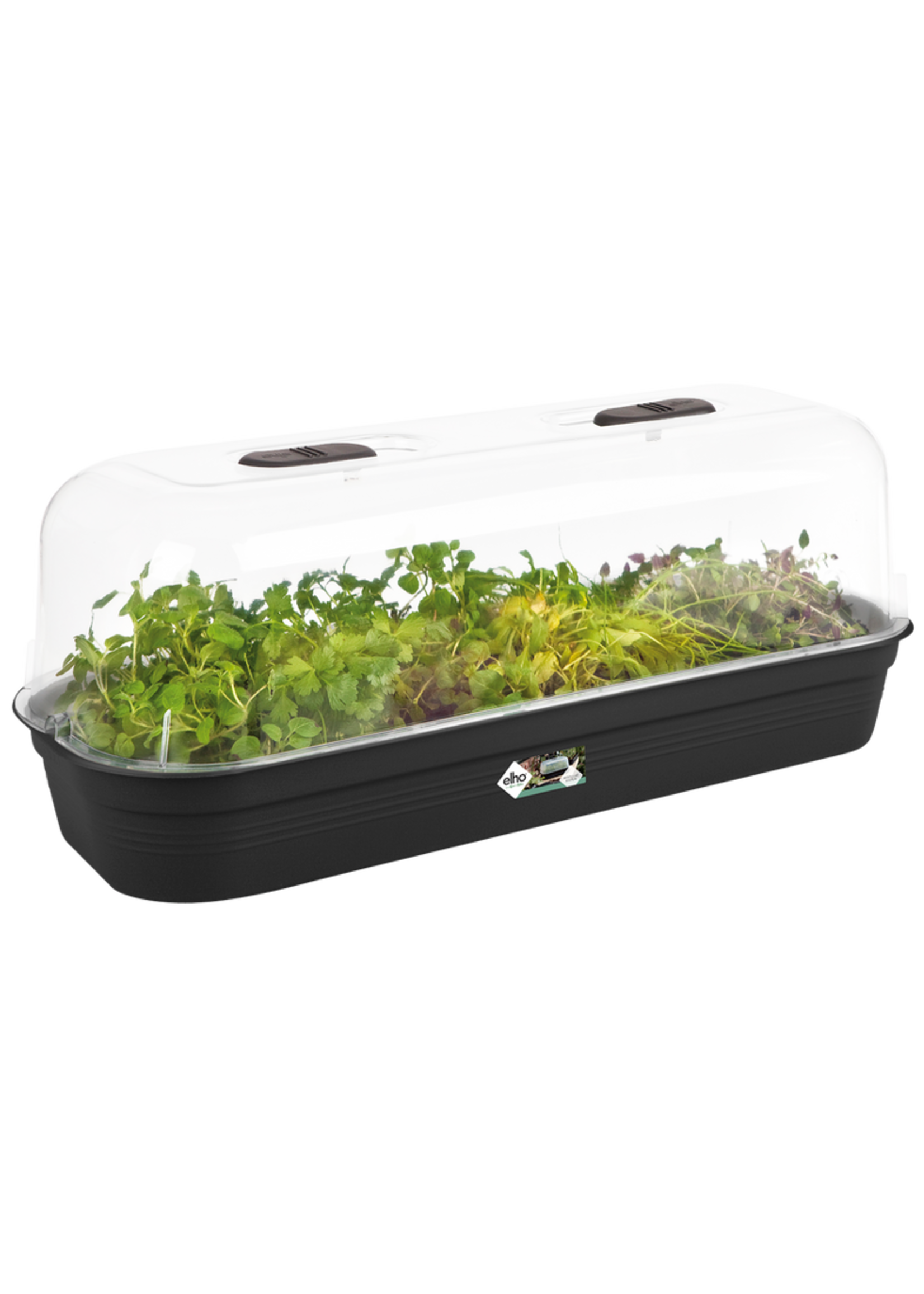 Elho Green Basics Grow Tray