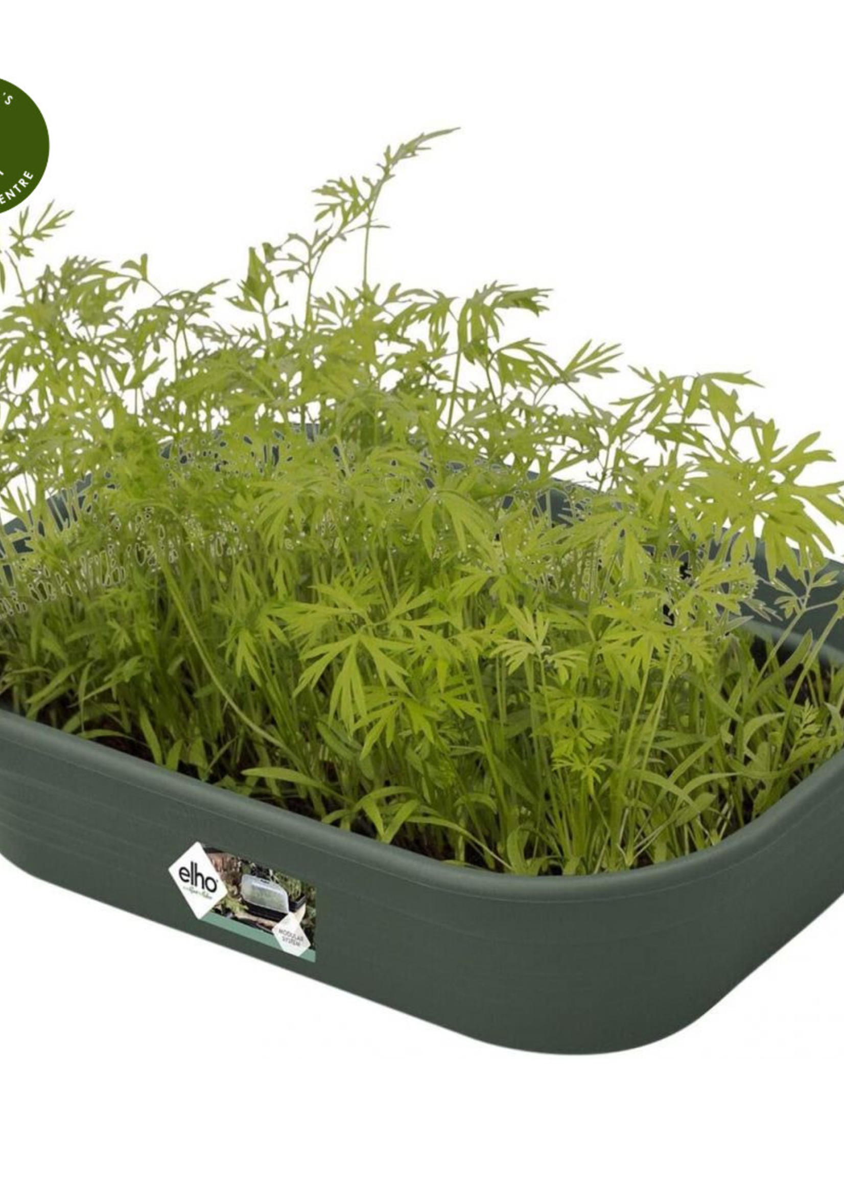 Elho Green Basics Grow Tray