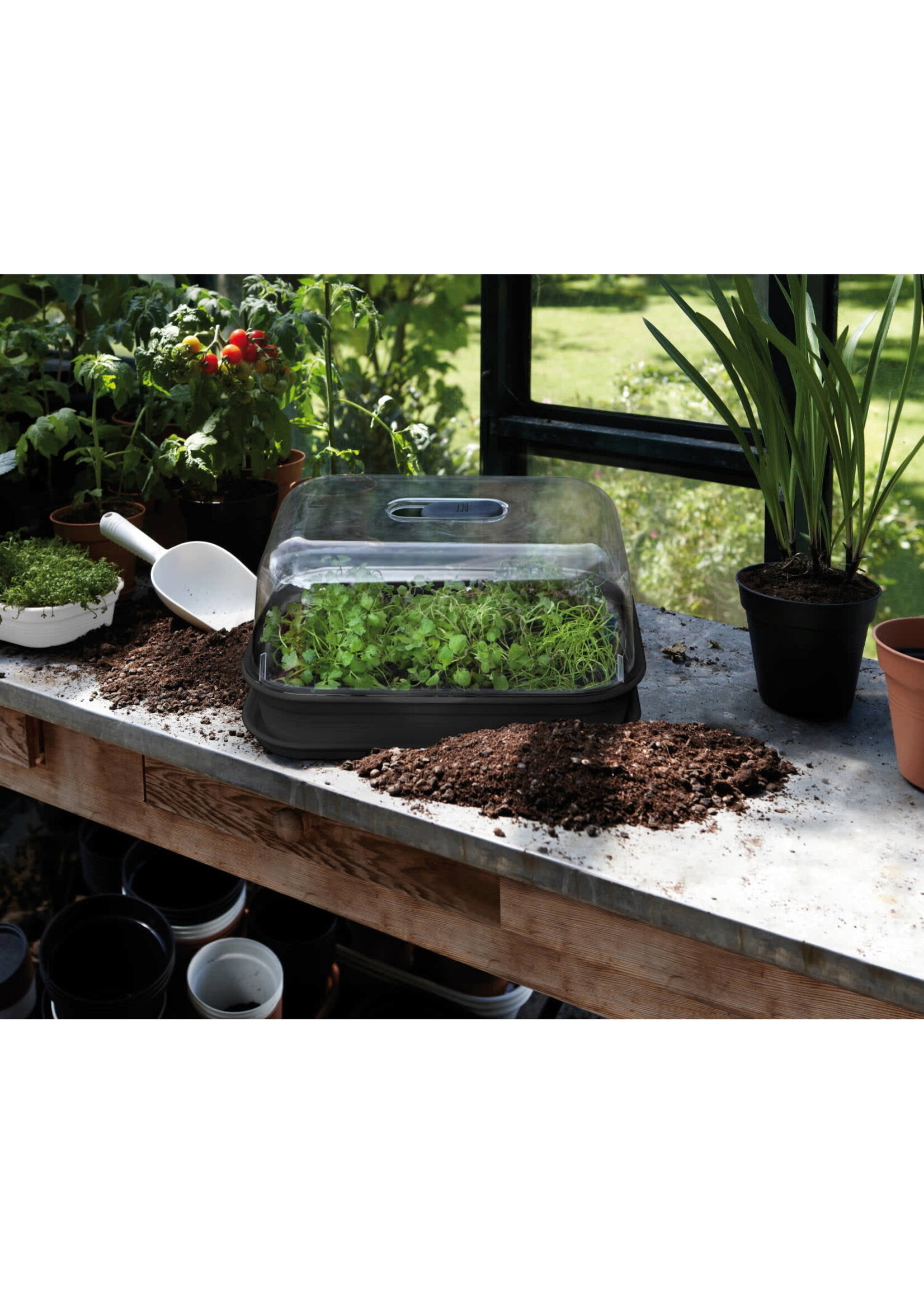 Elho Green Basics Grow Tray