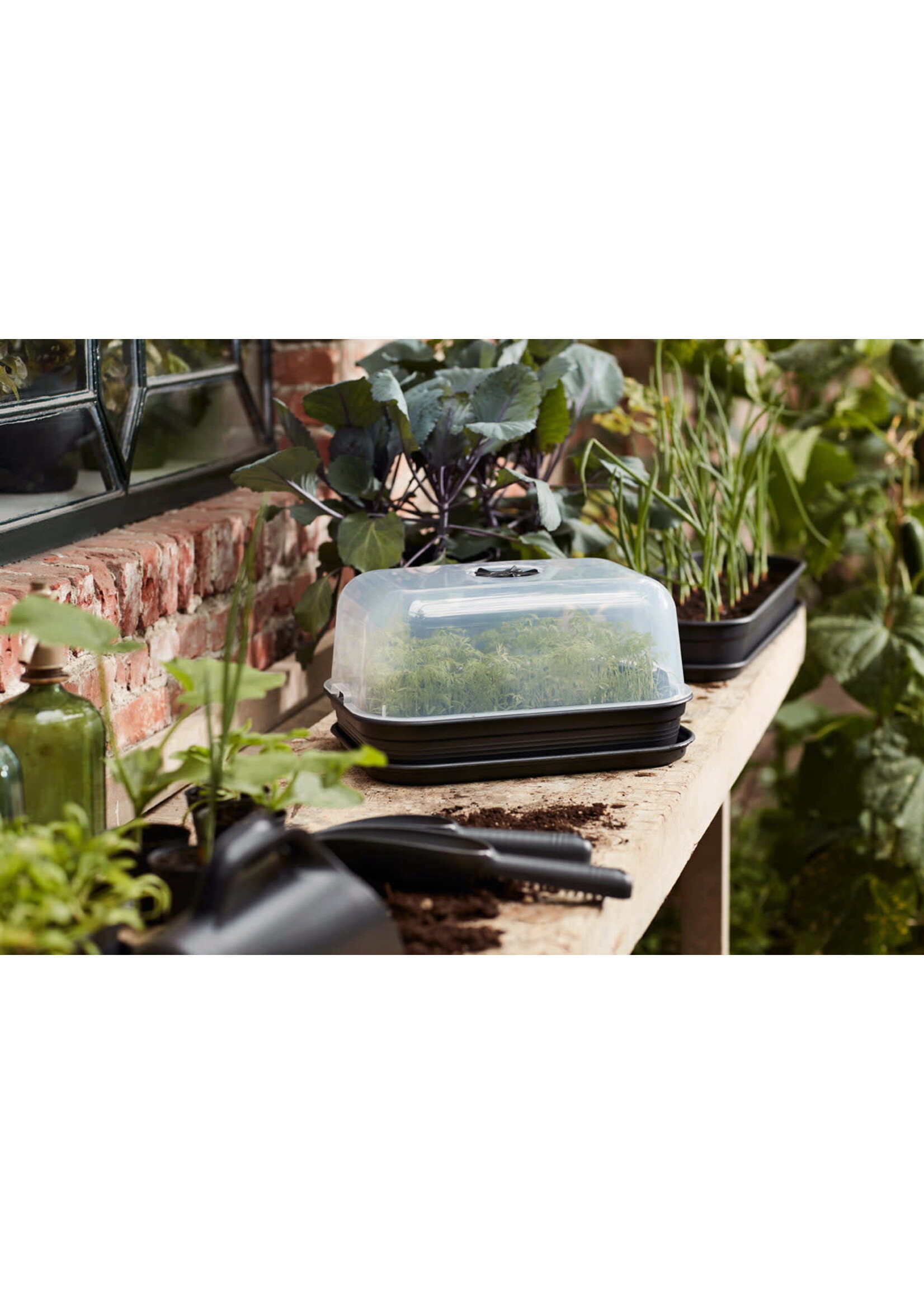 Elho Green Basics Grow Tray Saucer