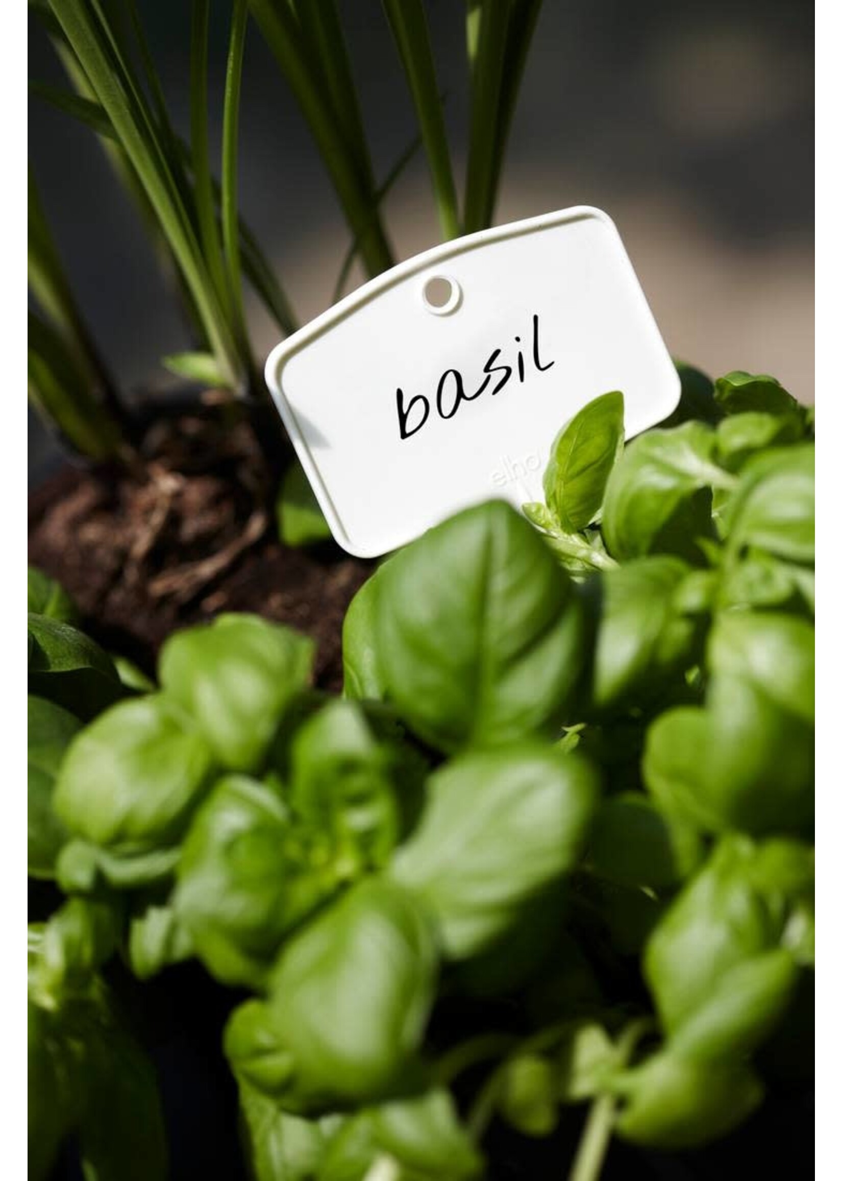 Elho Green Basics Plant Labels 5 Pk