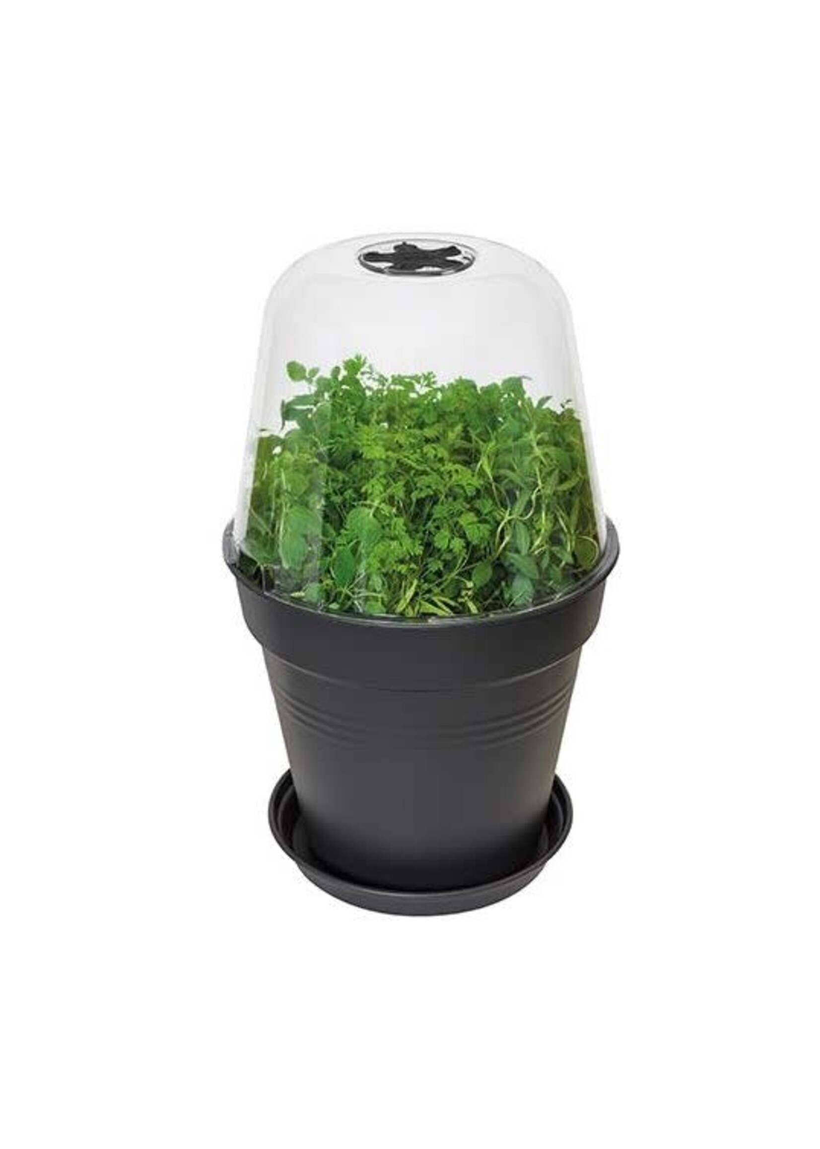 Elho Green Basics Growpot