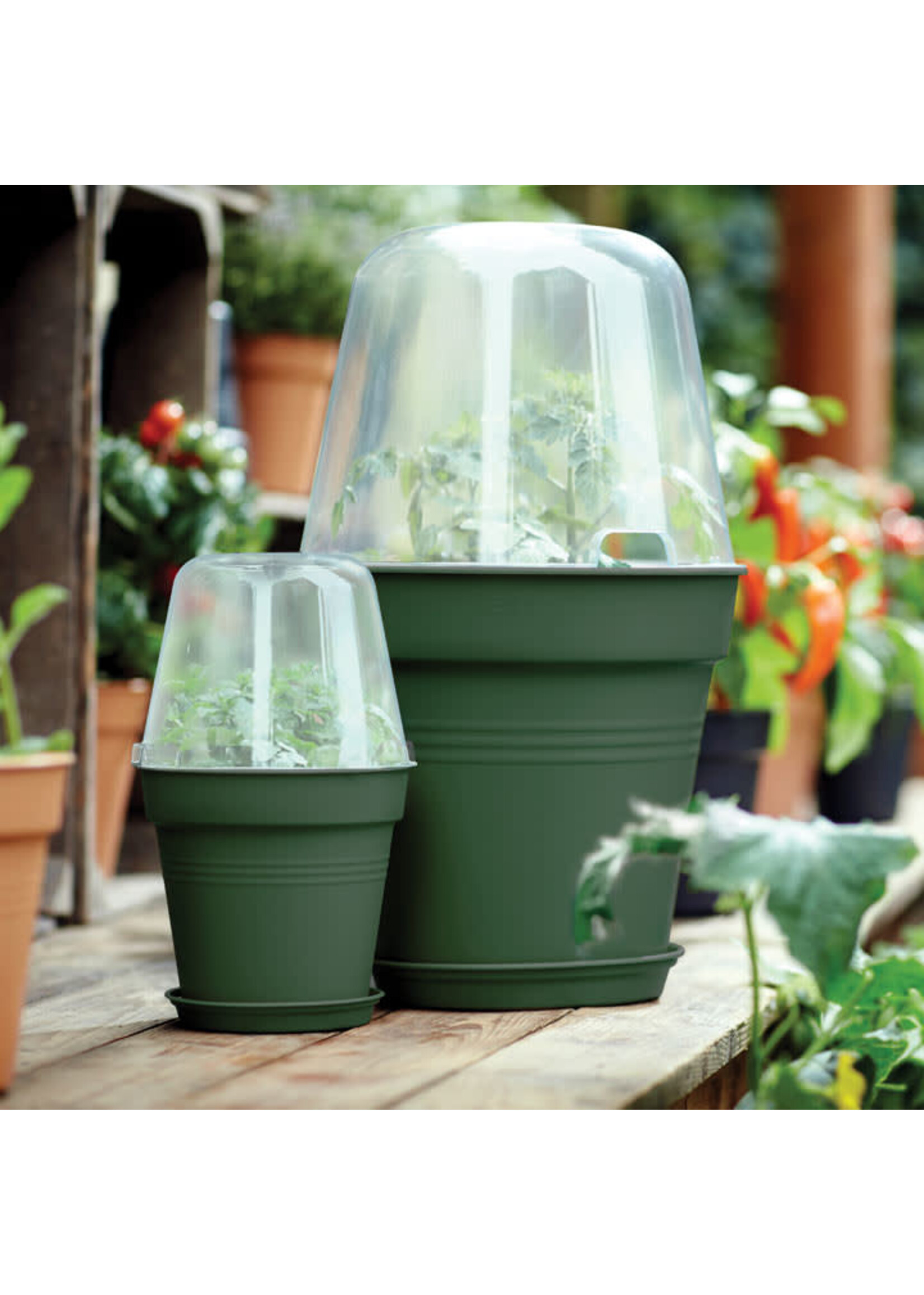 Elho Green Basics Growpot