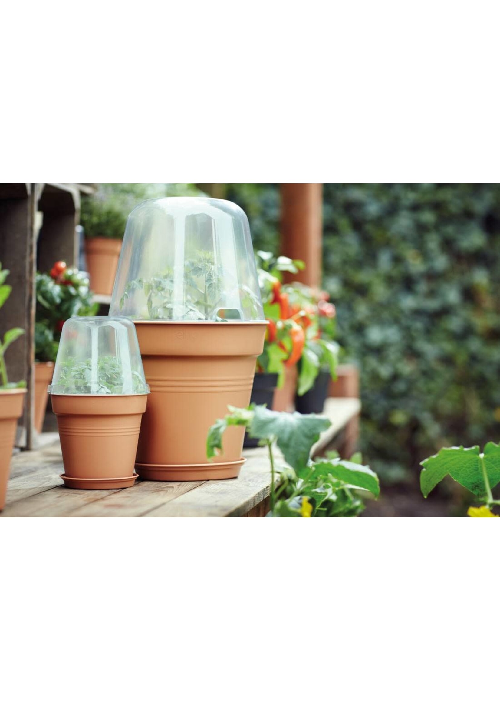 Elho Grow House Lid Round Transparent