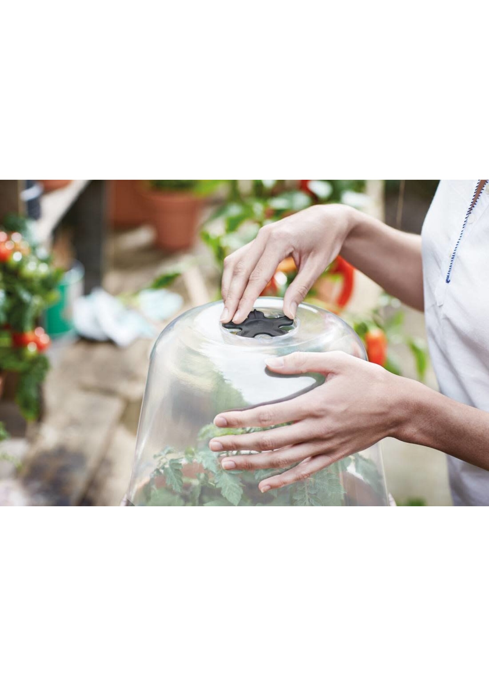 Elho Grow House Lid Round Transparent