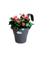 Elho Corsica Easy Hanger