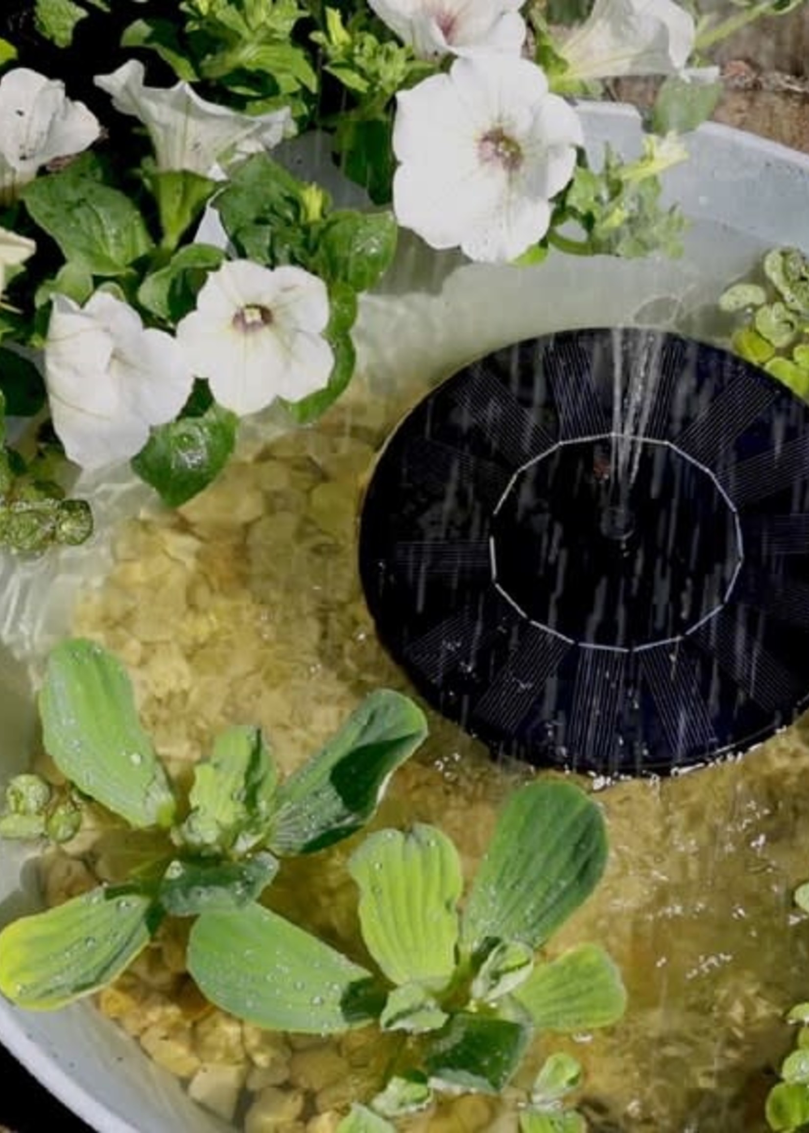 Lumineo Floating Solar fountain approx 16cm diametre