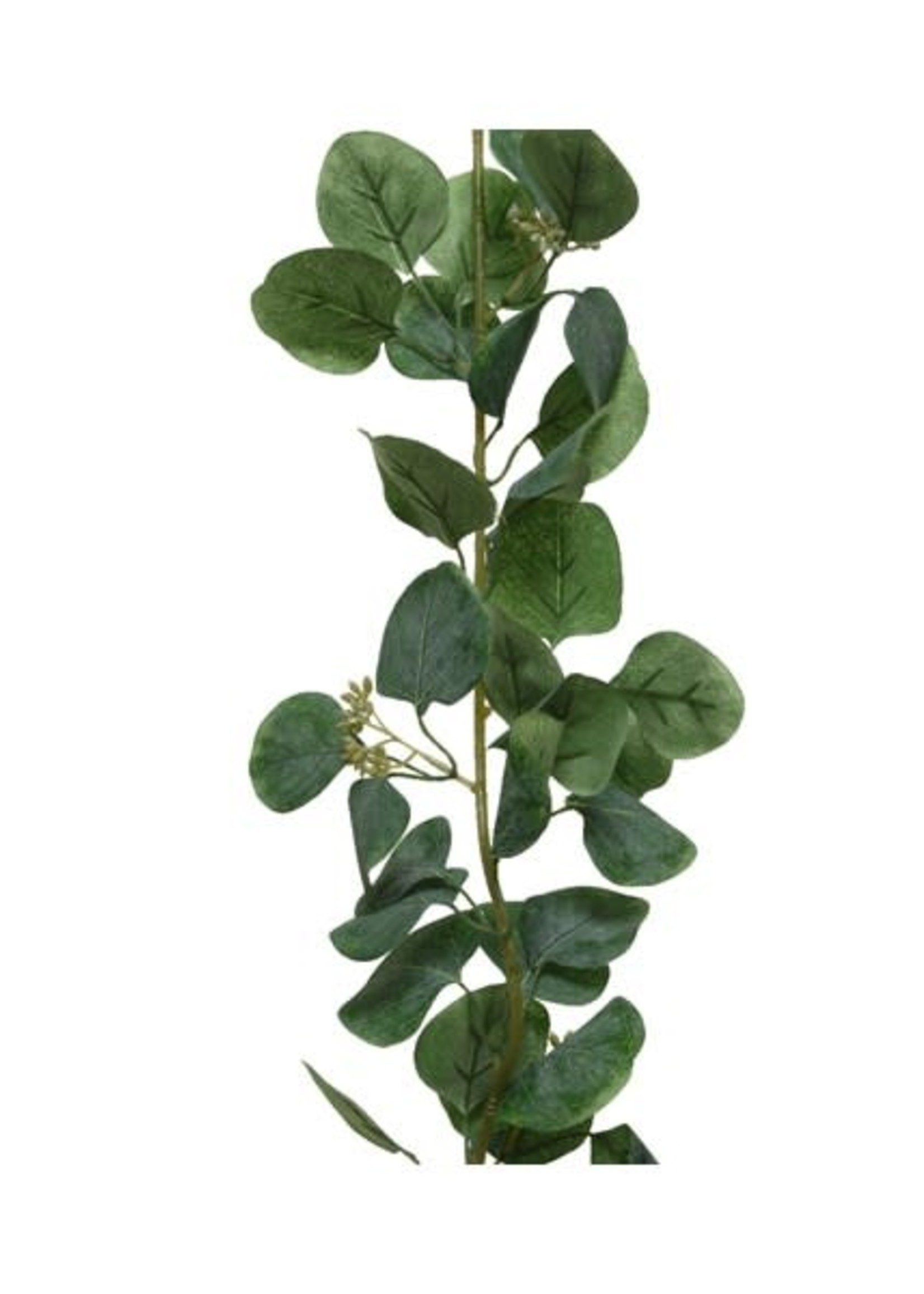 Everlands Eucalyptus Garland 180cm