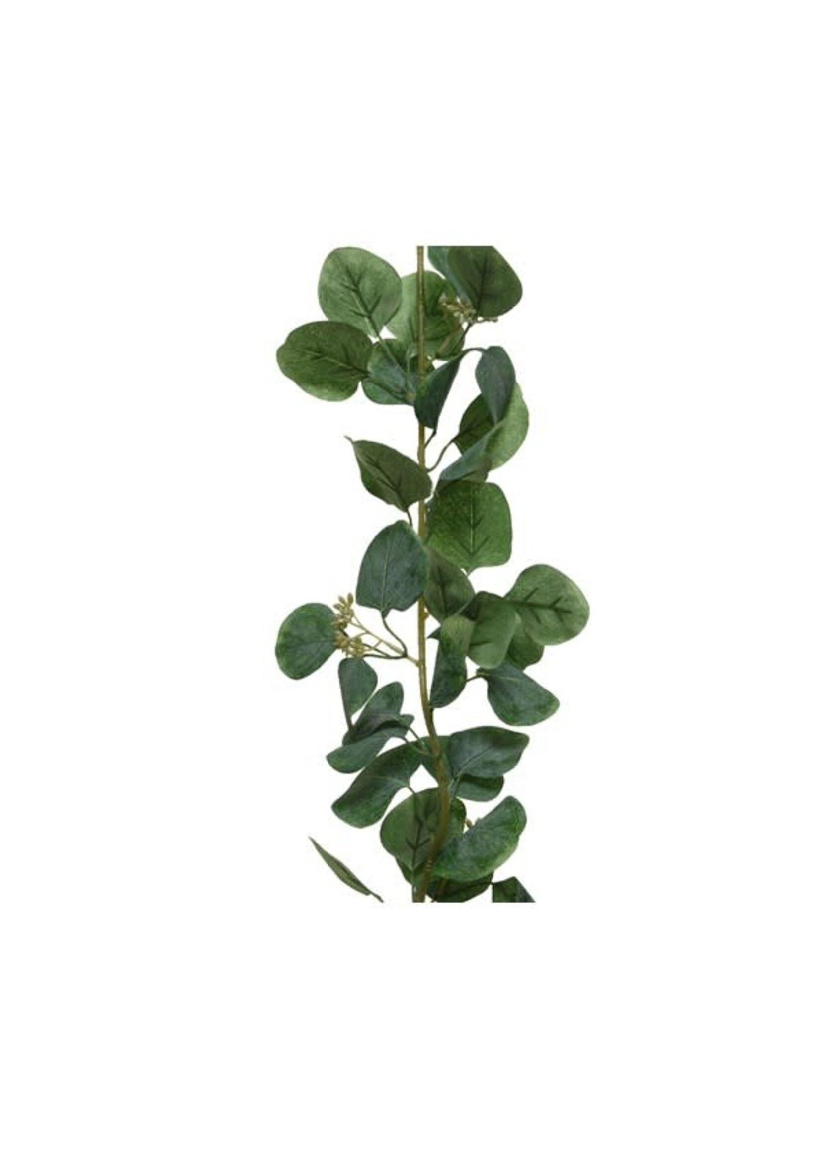 Everlands Eucalyptus Garland 180cm