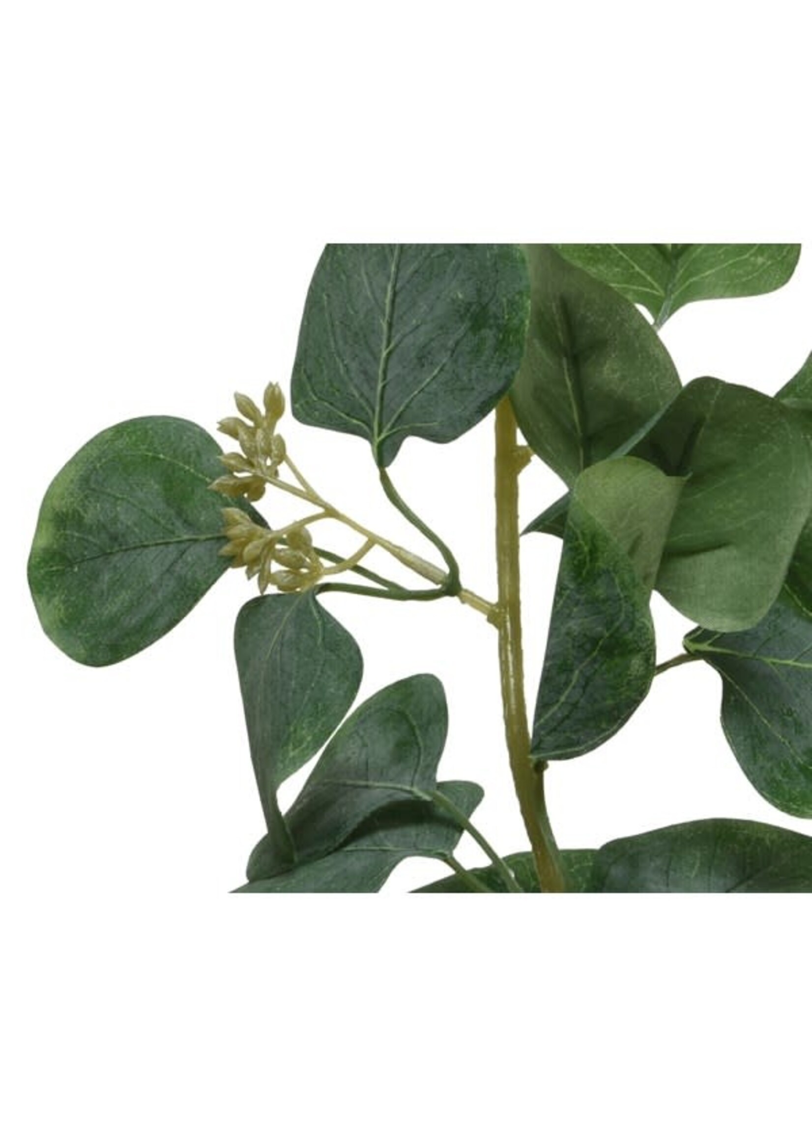 Everlands Eucalyptus Garland 180cm