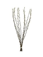 Decoris Pussy willow pussy Bunch 70cm